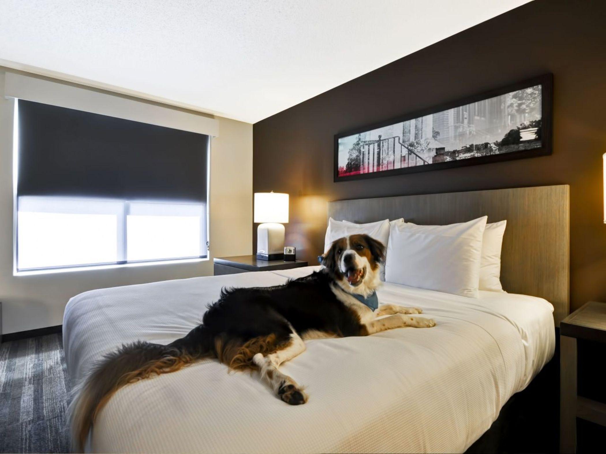 Hyatt Place Ocean City Oceanfront Dış mekan fotoğraf